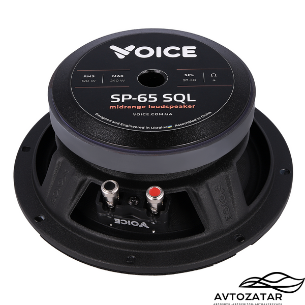 Естрадні динаміки Voice SP-65 SQL 211209 фото