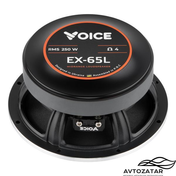 Естрадні динаміки Voice EX-65L 211210 фото