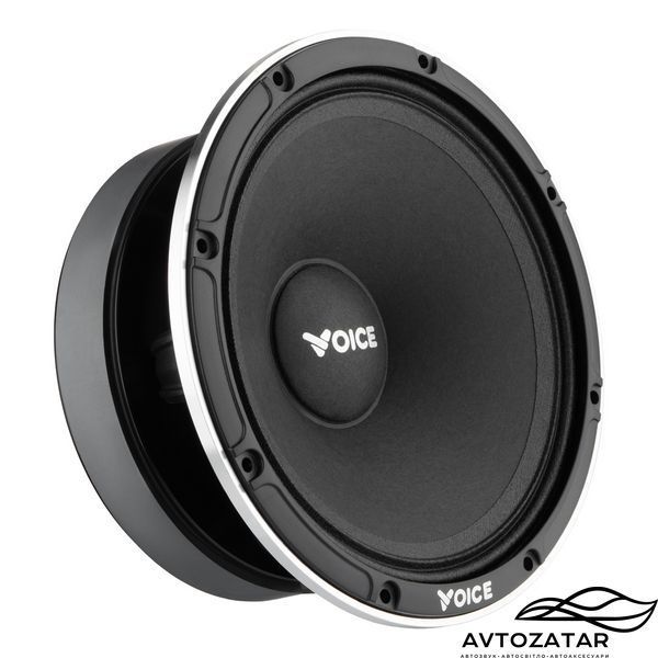 Естрадні динаміки Voice EX-65L 211210 фото