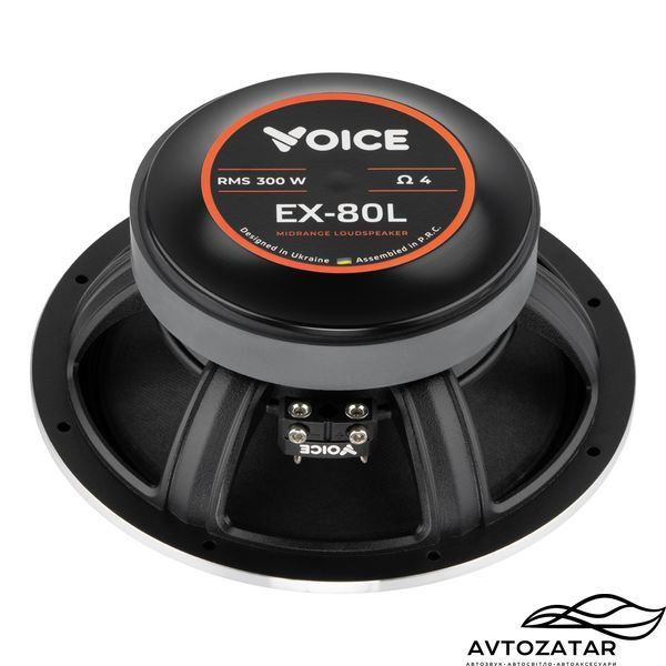 Естрадні динаміки Voice EX-80L 211211 фото